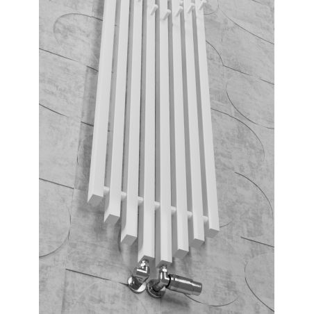 Grzejnik dekoracyjny z wieszakami Big Ben Hook 38